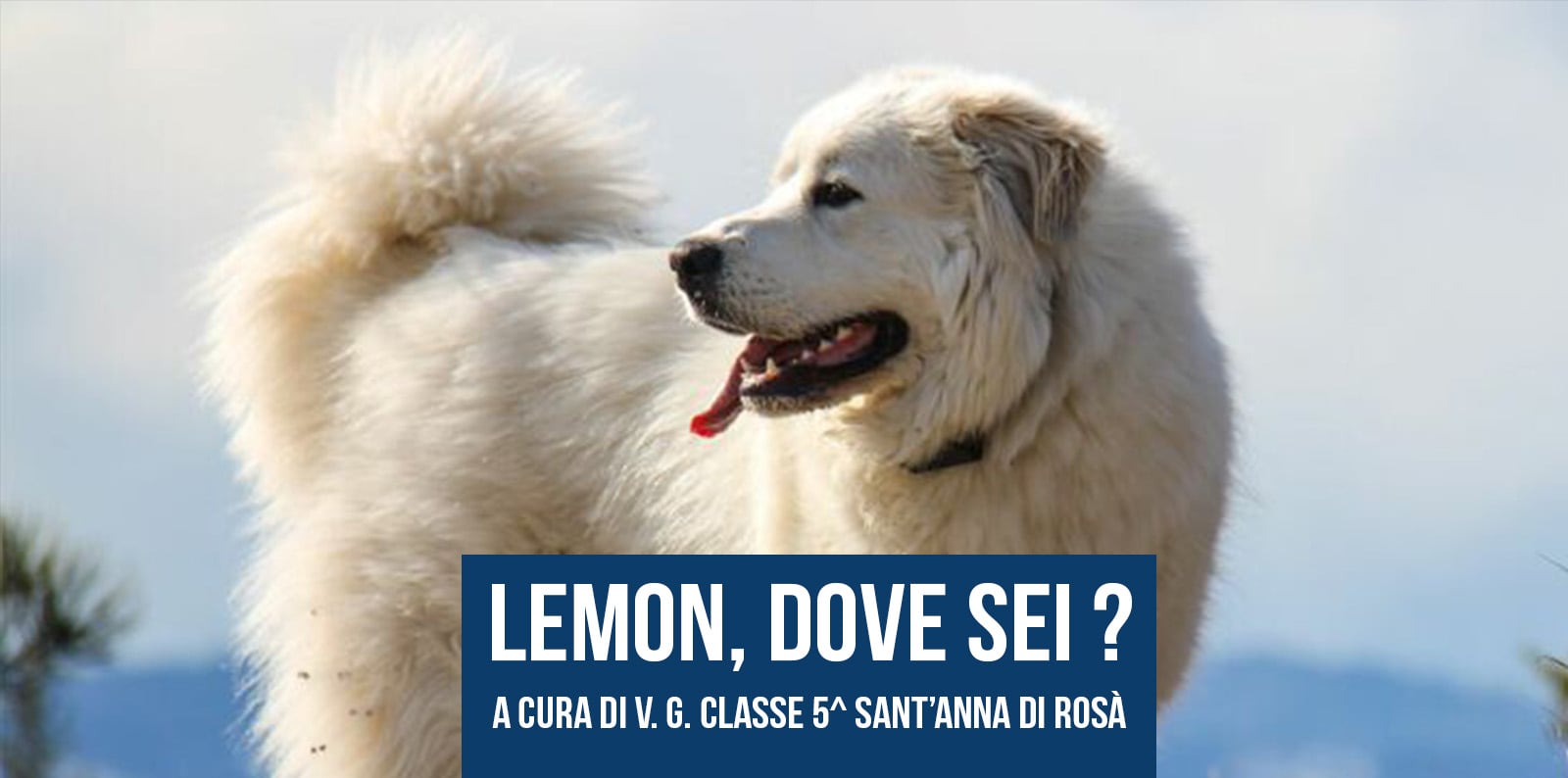 LEMON, DOVE SEI ?