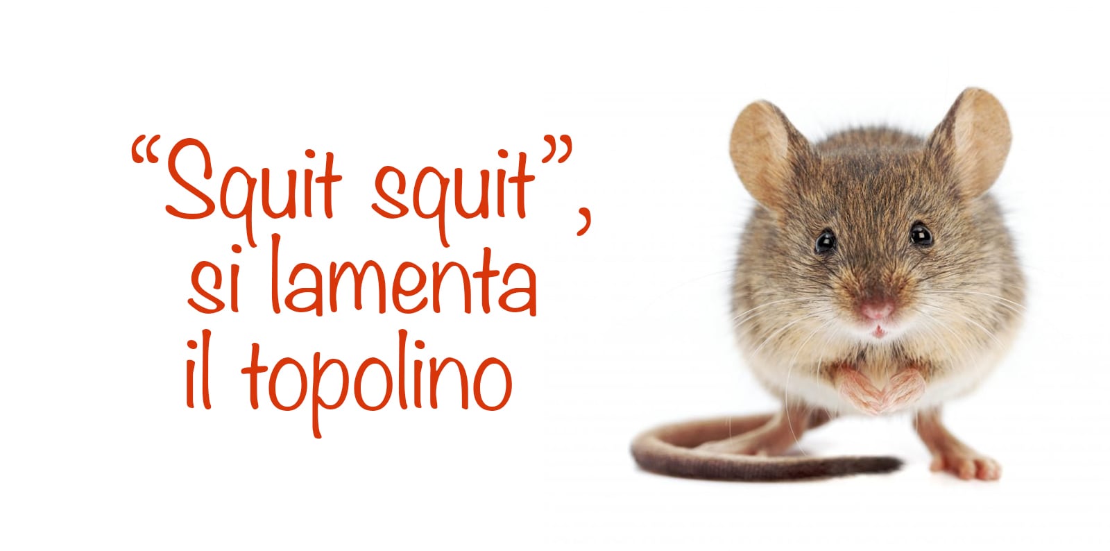 “Squit squit”, si lamenta il topolino.